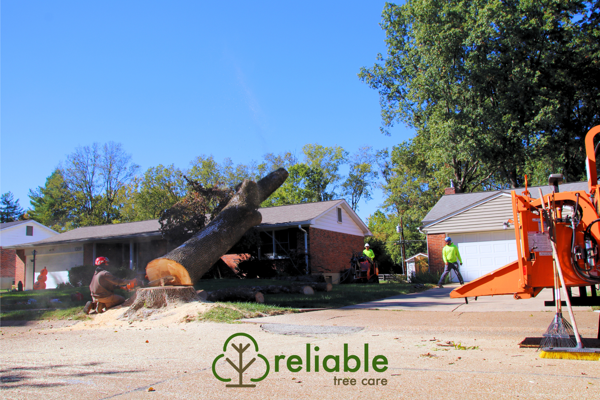 crew flopping a tree 